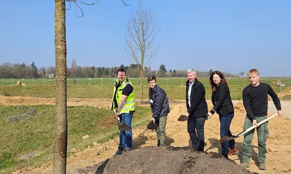 Bierstadt Nord: 83 Bäume gepflanzt, zentrale Grünfläche soll Sommer 2026 eröffnen