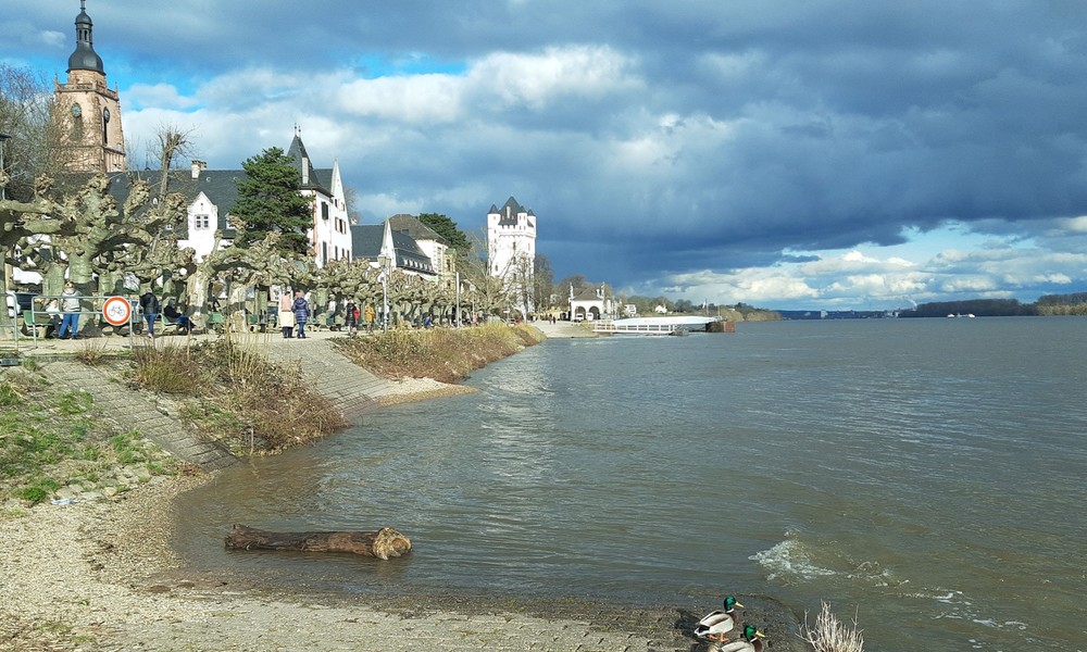 Eltville erneuert Geländer am Rheinufer und bewahrt historischen Charakter