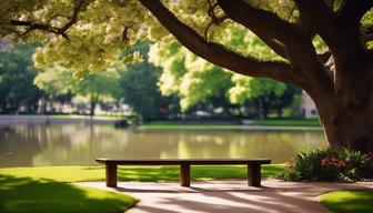 Kritik am Vorschlag zur Wiedereinführung des Zivildienstes als Lösung für den Fachkräftemangel in sozialen Berufen