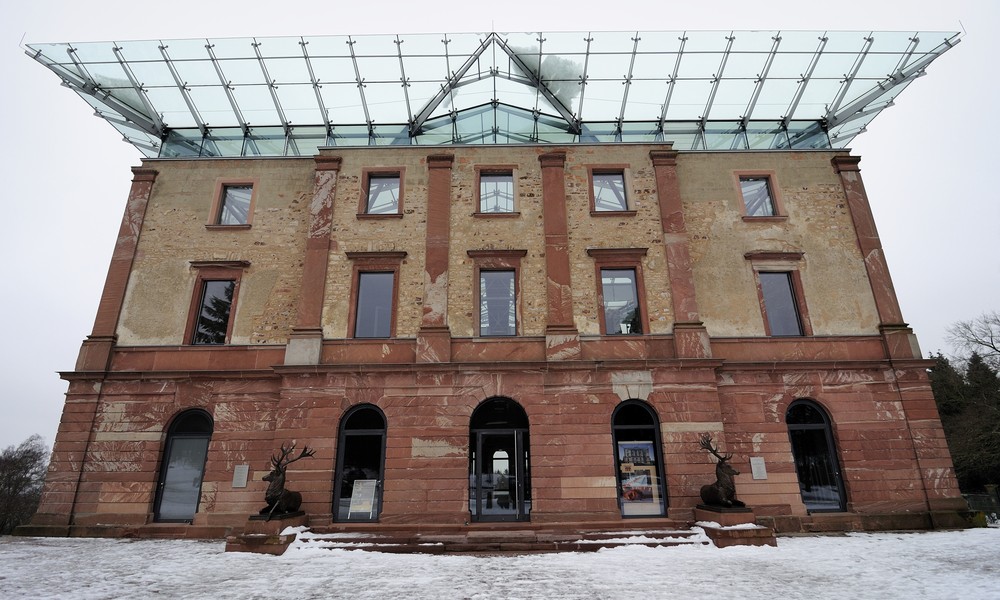 Stadtwald verkauft zertifizierte Nordmanntannen zum Selbstschlagen am 13. Dezember Stadtwald verkauft zertifizierte Nordmanntannen zum Selbstschlagen am 13. Dezember