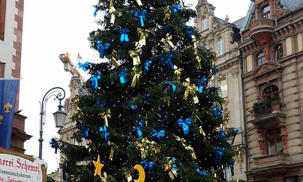 Weihnachtsbaum am Wiesbadener Rathaus wird am 12. November aufgestellt Weihnachtsbaum am Wiesbadener Rathaus wird am 12. November aufgestellt