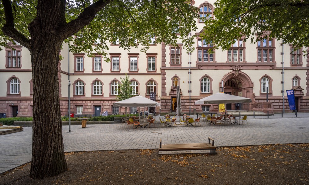 Wiesbaden startet Public Next mit Heimathafen zur Neugestaltung von Verwaltungsservices