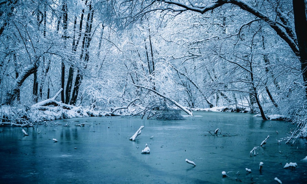 Wiesbaden warnt vor Betreten gefrorener Gewässer: Lebensgefahr besonders im Schiersteiner Hafen